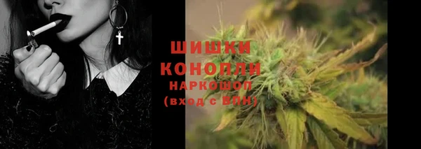 СК Медногорск