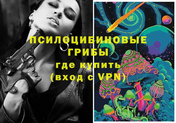 ешки Михайловск