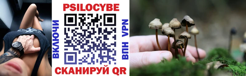 мориарти формула  где продают   Ачхой-Мартан  Галлюциногенные грибы GOLDEN TEACHER 